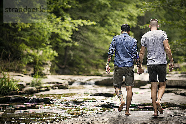 Rückansicht eines homosexuellen Paares  das beim Waldspaziergang Händchen hält