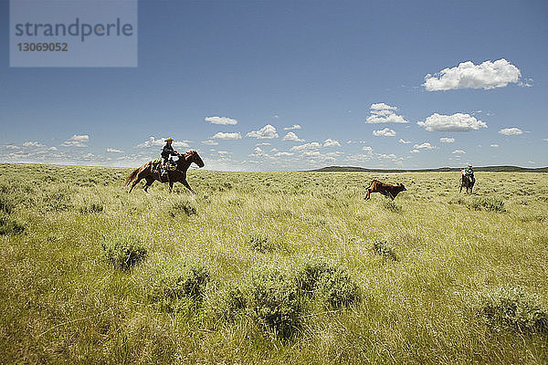 Männer reiten zu Pferd auf Grasfeld gegen den Himmel