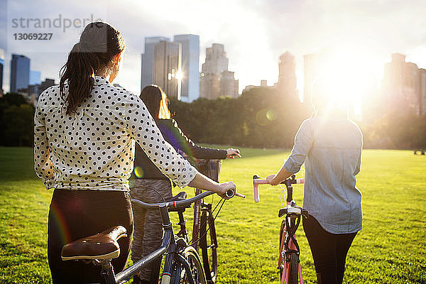 Rückansicht Freunde zu Fuß mit Fahrrädern auf dem Feld im Central Park