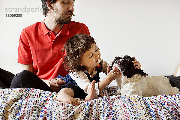 Vater und Tochter spielen mit dem Hund  während sie auf dem Bett an der Wand sitzen