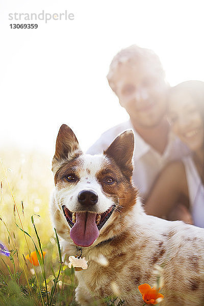 Porträt eines Hundes mit Mann und Frau vor klarem Himmel