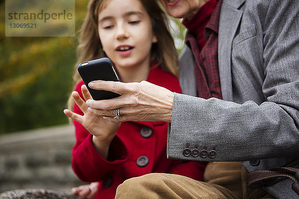 Familie benutzt Mobiltelefon  während sie im Park sitzt