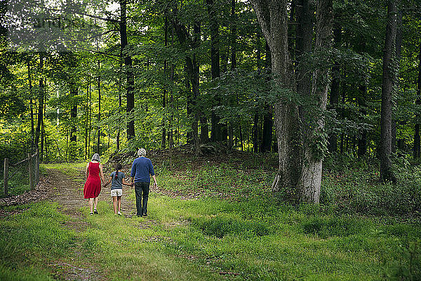 Rückansicht eines Mädchens  das mit den Großeltern auf einem Pfad bei Bäumen im Wald spazieren geht