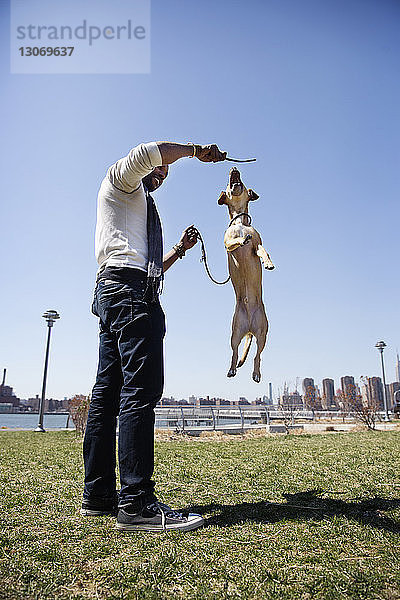 Niedrigwinkelansicht eines Mannes  der mit einem Hund gegen den klaren Himmel spielt