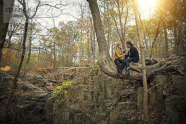 Auf Baumstamm sitzendes Ehepaar im Wald
