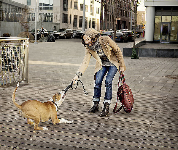 Hund an Frau zieht Haustierleine auf Fußweg in der Stadt