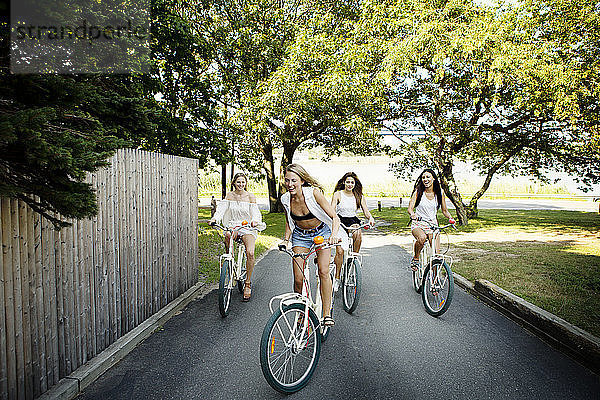 Verspielte Freunde beim Radfahren auf der Straße