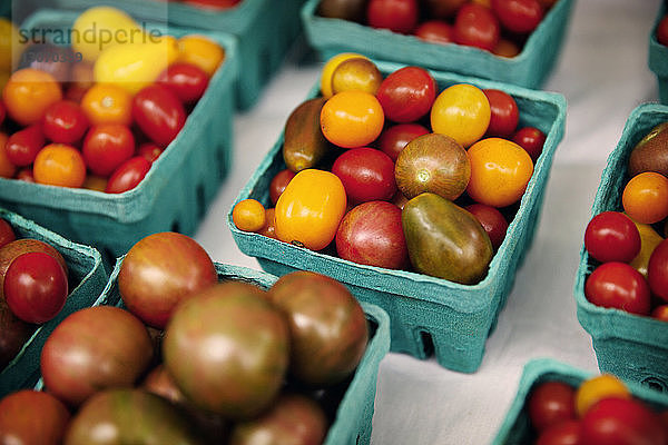 Hochwinkelansicht von Tomaten in blauen Behältern zum Verkauf auf dem Markt