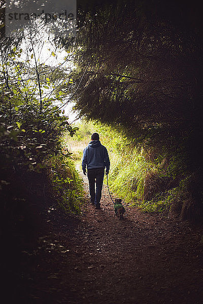 Rückansicht eines Mannes  der mit einem Hund im Wald spazieren geht