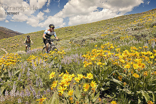 Glückliche Freunde fahren mit dem Fahrrad auf einem Hügel gegen bewölkten Himmel