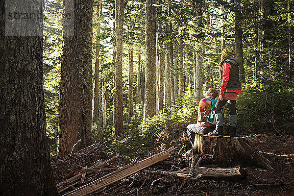 Mann sitzt  während Frau auf Baumstamm im Wald steht