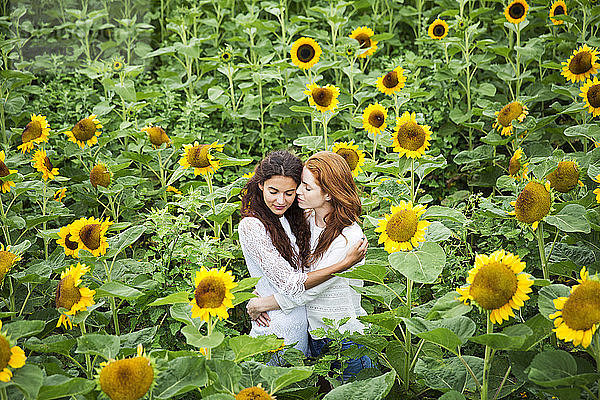 Zärtliches lesbisches Paar steht im Sonnenblumenfeld