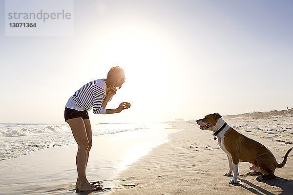 Seitenansicht einer Frau  die mit einem Hund spielt  während sie am Strand am Ufer steht