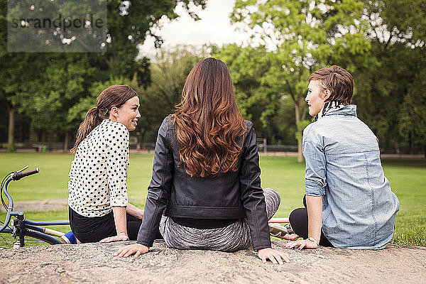 Freunde sitzen auf einem Felsen im Central Park