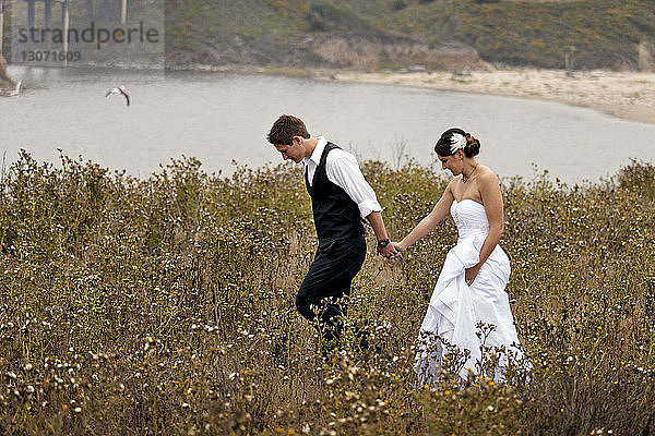 Frisch verheiratetes Paar hält beim Spaziergang auf Grasfeld Händchen