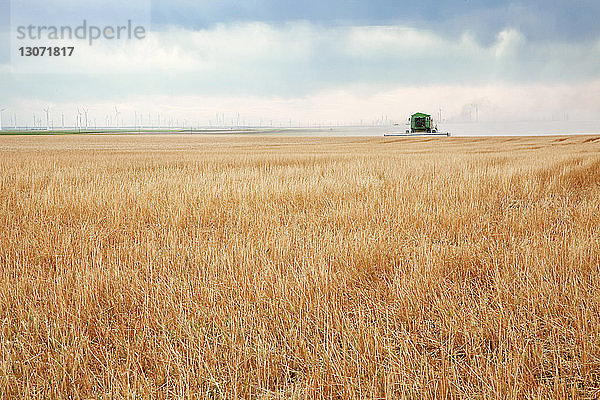 Fernsicht eines Traktors auf ein Weizenfeld