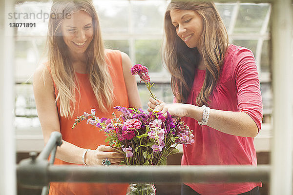Freunde stellen Blumen im Gewächshaus stehend in eine Vase
