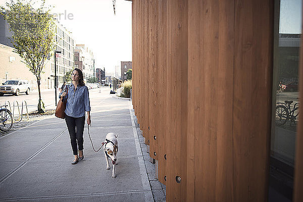 Nachdenkliche Frau geht mit Hund auf dem Bürgersteig an einer Holzmauer in der Stadt