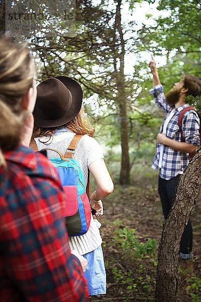 Mann zeigt Freunden einen Baum  während er im Wald steht