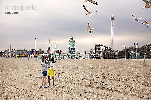 Freundinnen füttern Möwe am Strand