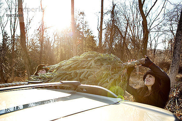 Frau stellt Kiefer auf Autodach im Wald