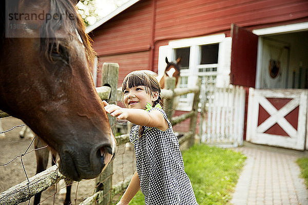 Mädchen streichelt Pferd  während sie gegen den Stall steht