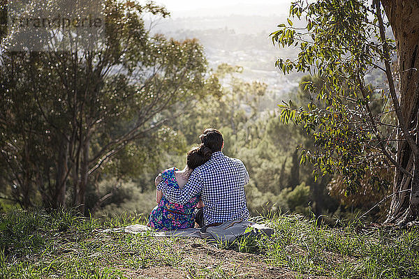 Rückansicht eines Paares mit umarmtem Arm  das auf einem Feld im Wald sitzt