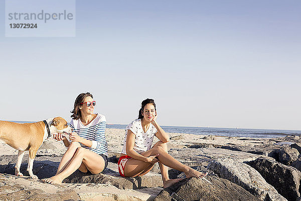 Freunde mit Hund auf Felsen am Strand sitzend