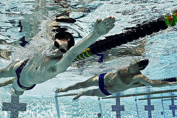 Männer schwimmen im Wettkampf