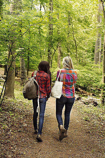 Rückansicht von Freundinnen  die im Wald spazieren gehen
