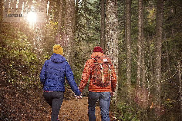 Rückansicht eines Paares  das sich an den Händen hält und im Wald spazieren geht