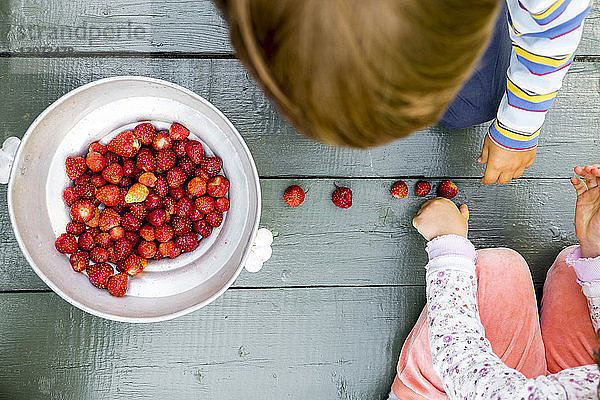Draufsicht auf Geschwister  die mit frisch geernteten Erdbeeren auf dem Boden spielen