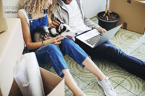 Hochwinkelansicht eines Paares mit Hund mit Laptop-Computer im neuen Haus