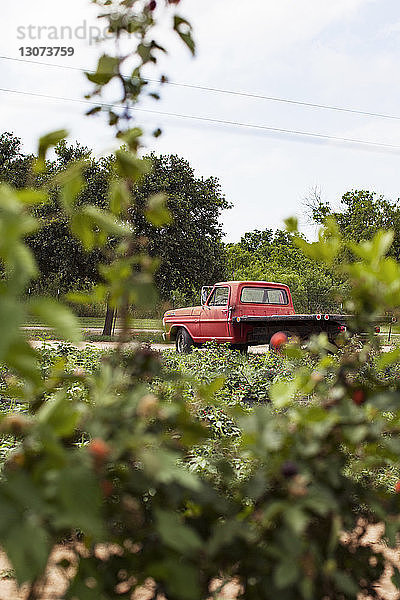 Kleintransporter auf dem Feld gegen den Himmel