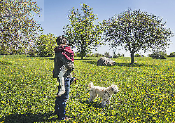 Seitenansicht eines Vaters  der einen Sohn mit gebrochenem Bein trägt  während er neben einem Hund auf einem Grasfeld im Park steht
