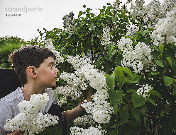 Junge mit geschlossenen Augen riecht weiße Blumen im Park