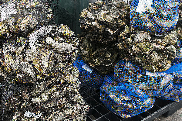 Nahaufnahme von im Netz verpackten Austern auf dem Markt