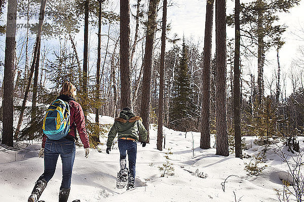 Rückansicht von männlichen und weiblichen Wanderern  die im Winter im Wald wandern