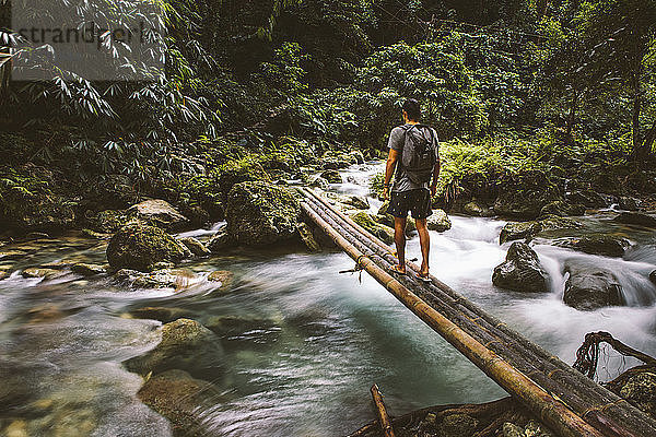 Rückansicht eines Wanderers mit Rucksack  der auf einem Bambus-Steg über den Bach im Wald geht