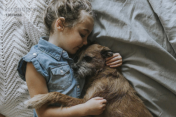 Hochwinkelansicht eines Mädchens  das mit Schnauzer auf dem Bett schläft