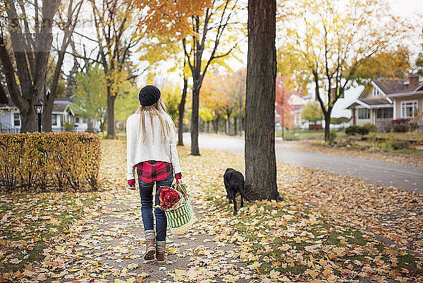 Rückansicht einer Frau  die eine Einkaufstasche in der Hand hält und mit einem Hund auf einem Fußweg spazieren geht