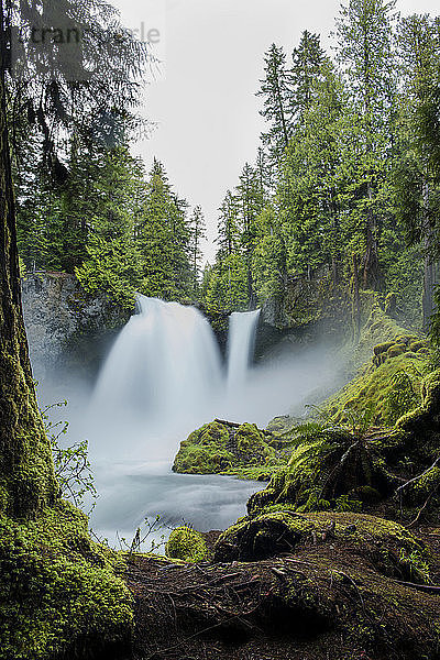 Landschaftliche Ansicht eines idyllischen Wasserfalls im Wald