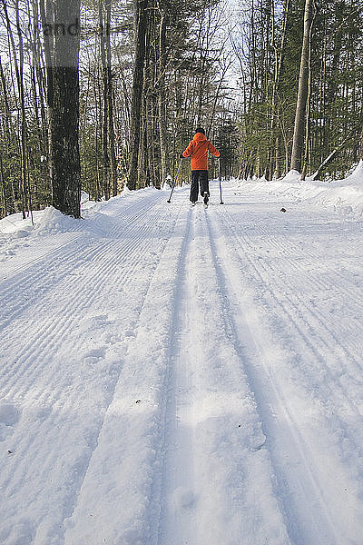 Rückansicht eines Jungen beim Skifahren auf einem schneebedeckten Feld im Wald