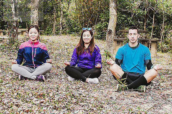 Freunde meditieren  während sie auf einem Feld im Wald sitzen