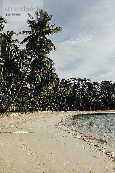 Szenische Ansicht von Kokospalmen gegen den Himmel am Strand