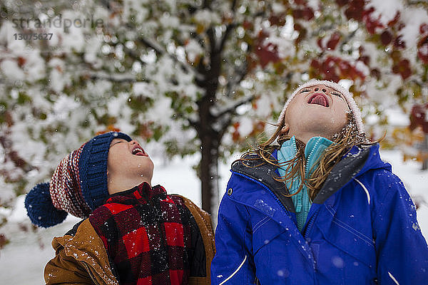 Verspielte Geschwister  die im Winter die Zunge herausstrecken  wenn sie im Freien stehen