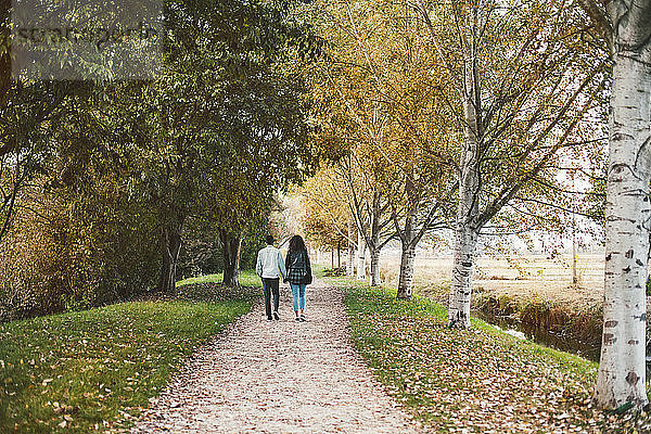 Rückansicht eines Paares  das im Herbst auf einem Fußweg im Park spazieren geht