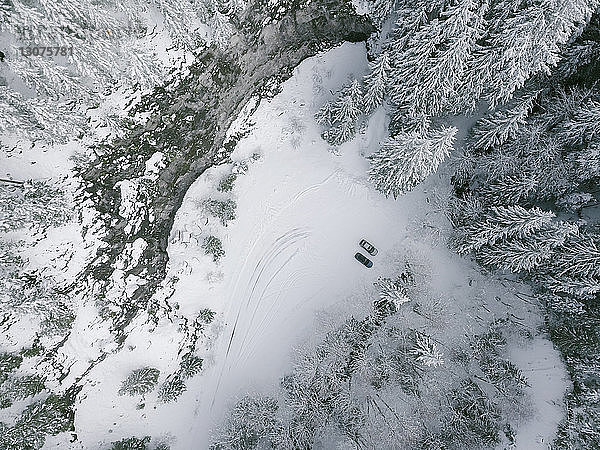 Hochwinkelansicht von Autos inmitten gefrorener Bäume im Wald im Winter