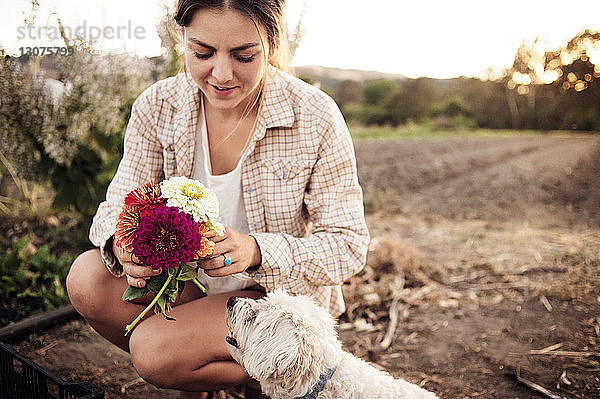 Bäuerin hält schöne Blumen mit Hund auf dem Feld