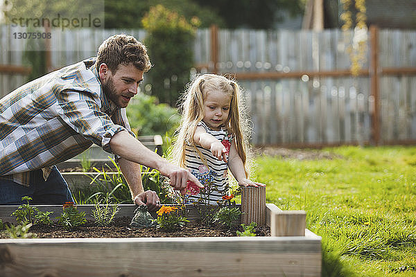 Vater und Tochter zeigen auf Pflanzen  die im Hochbeet wachsen